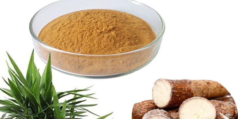 Yucca Root Concentrate supplier Yucca Root Concentrate supplier