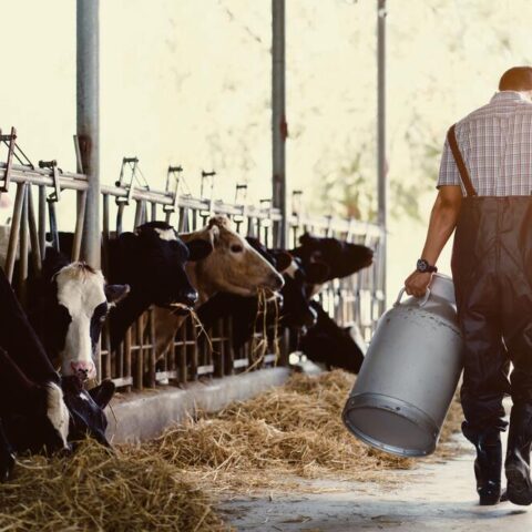 produccion pecuaria ecuador