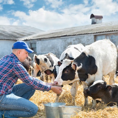 produccion pecuaria ecuador